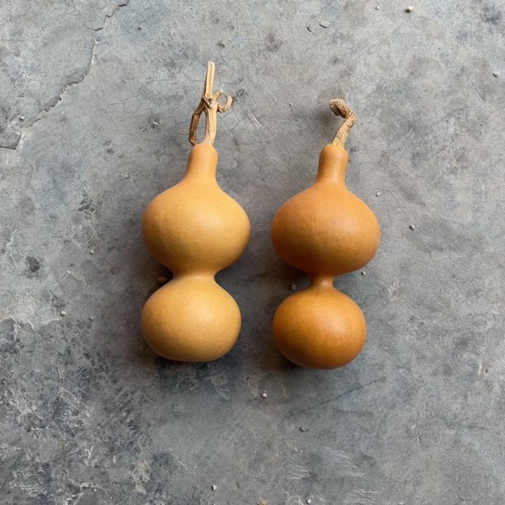 文琛葫芦网购葫芦基地