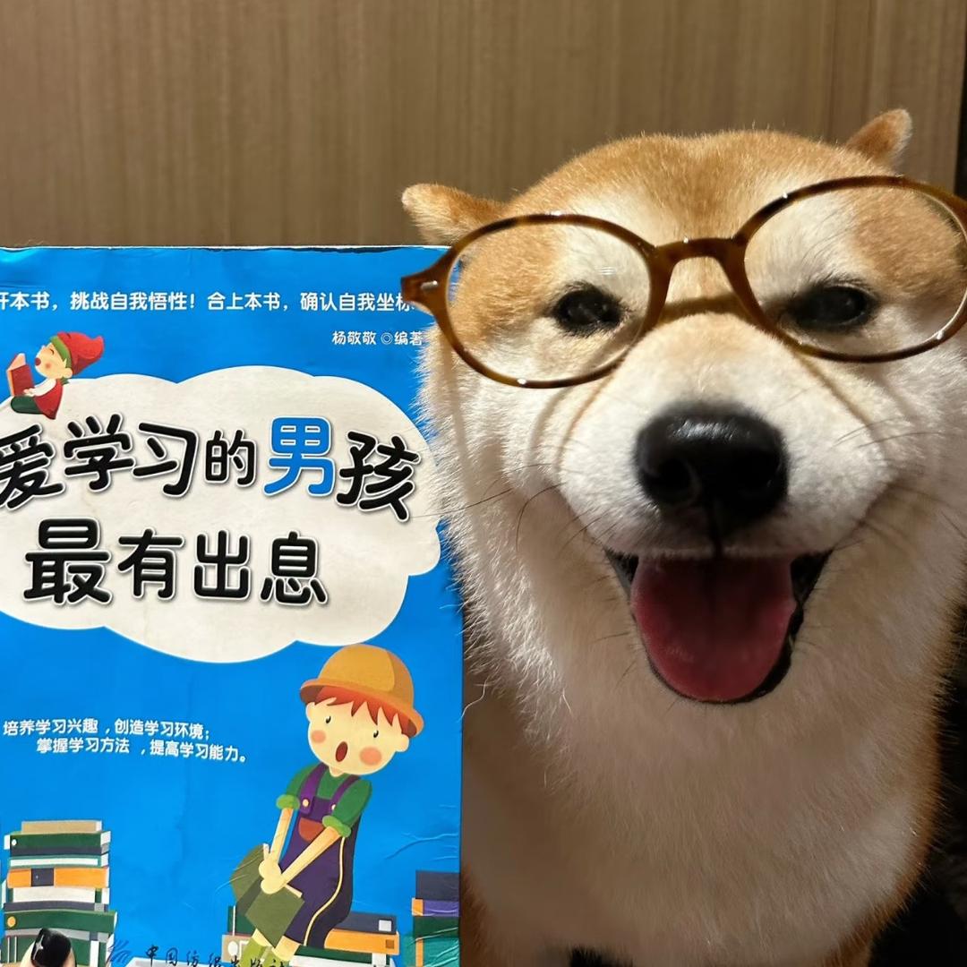 保定在逃驴肉火烧