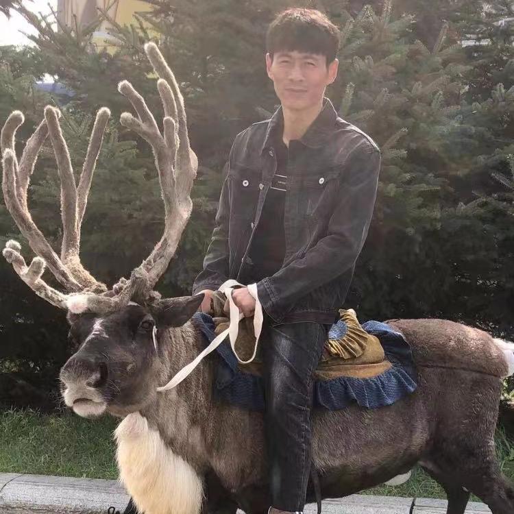 袜子哥
