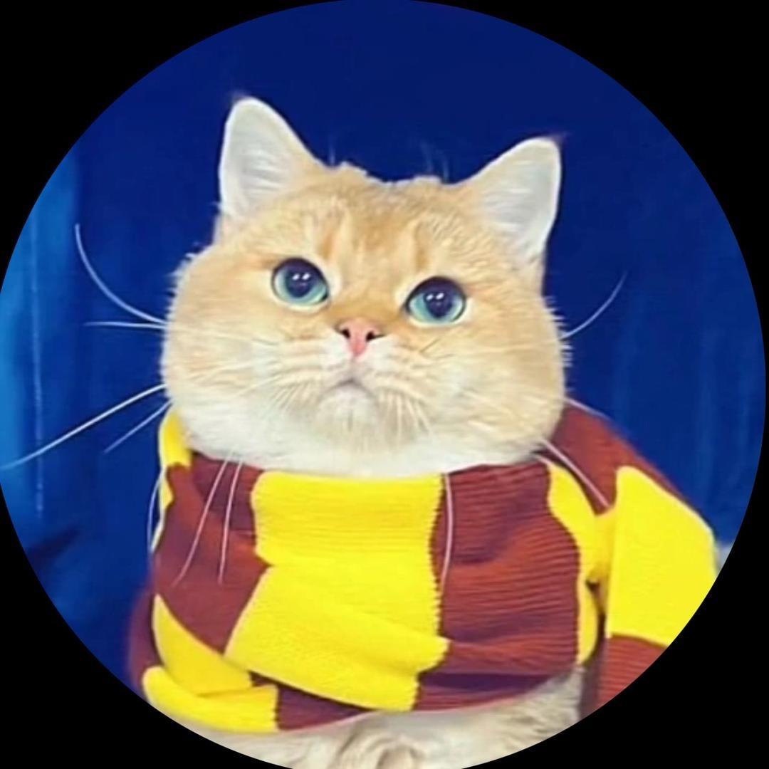 布鲁猫舍