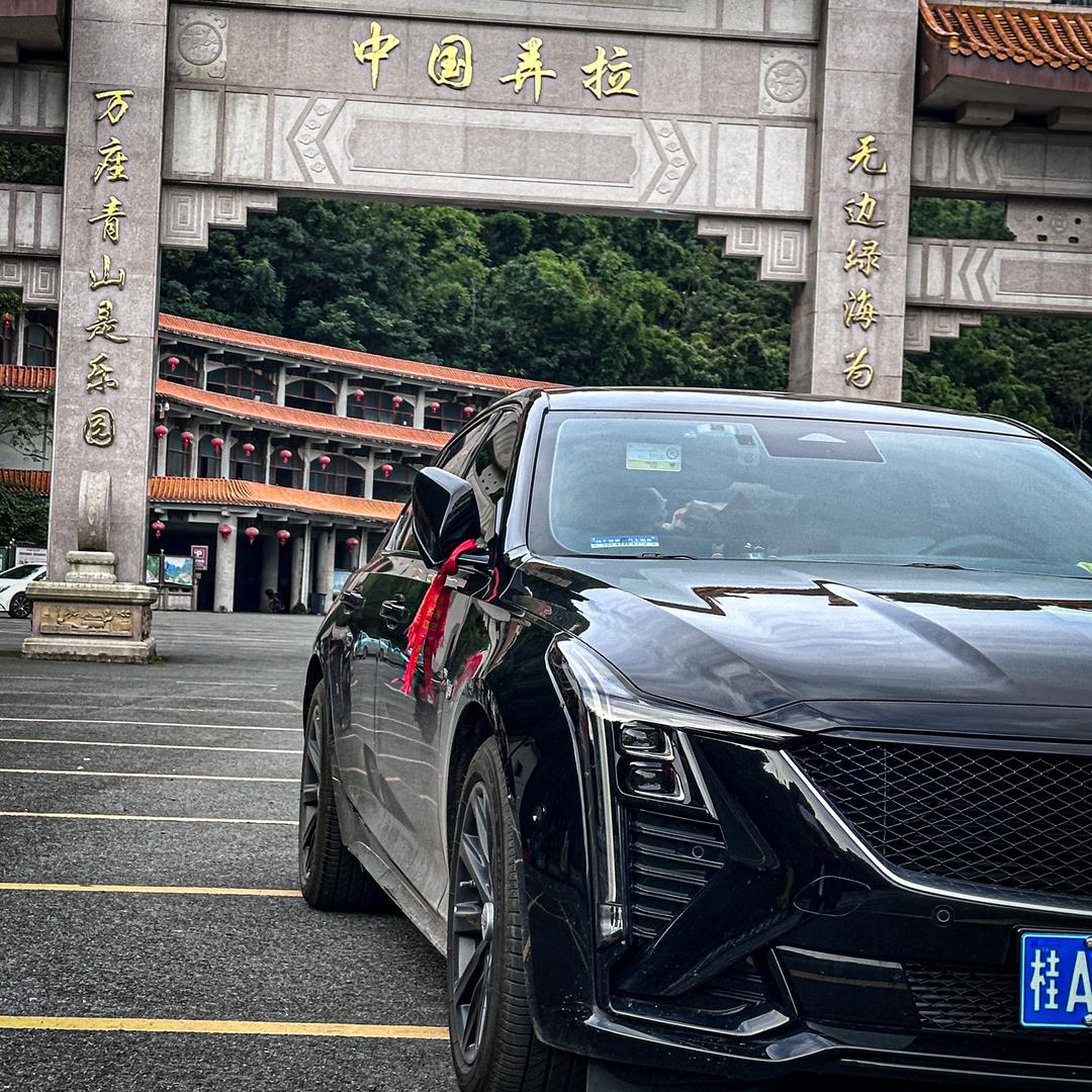 叙利亚的战斗鸡