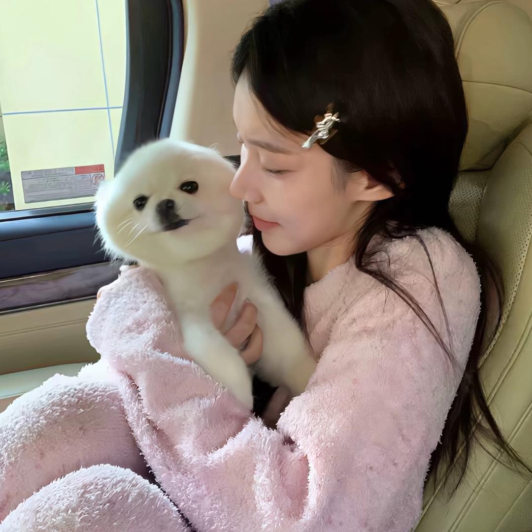 又刁又犟