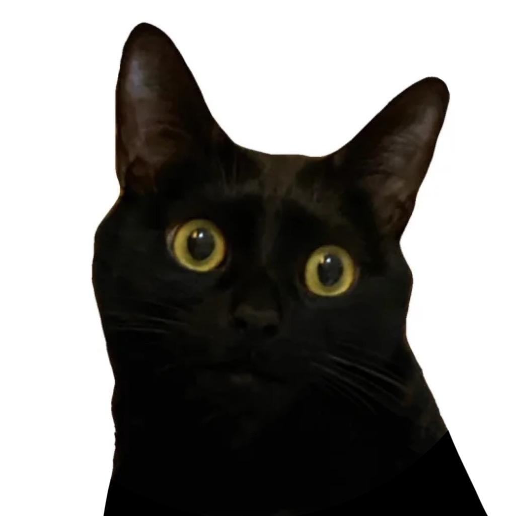 ㅤㅤㅤ么凹猫