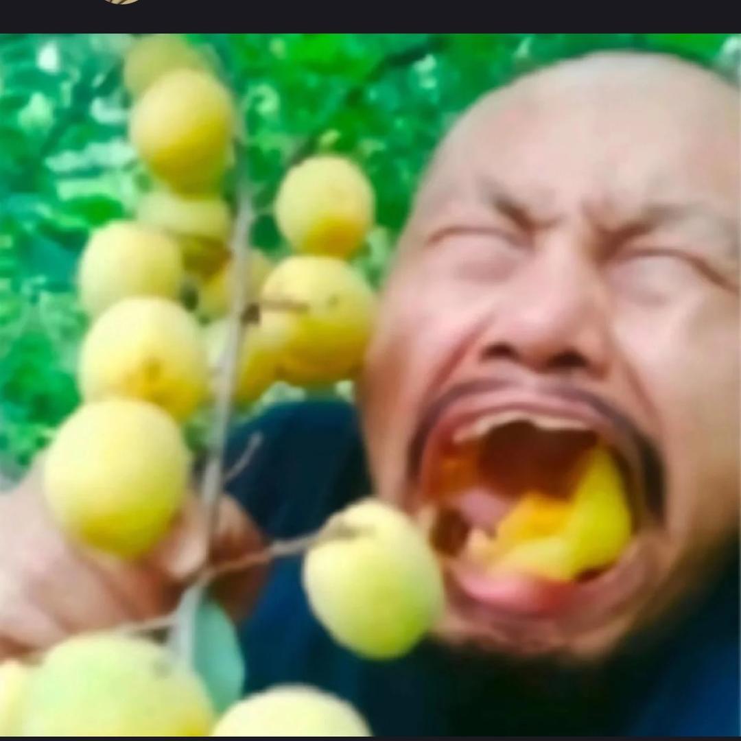 贺喵喵