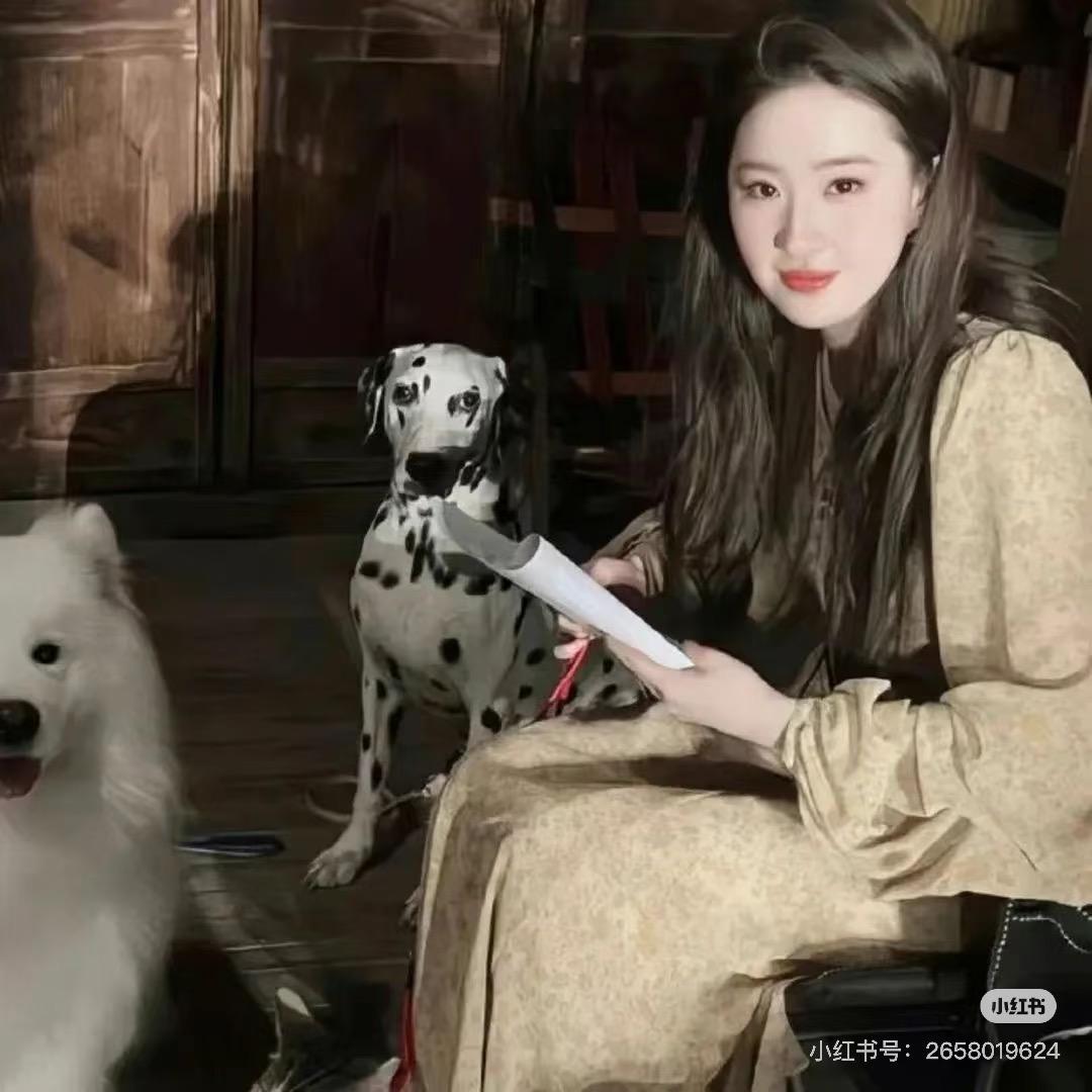 想睡觉的懒洋洋（招财版）