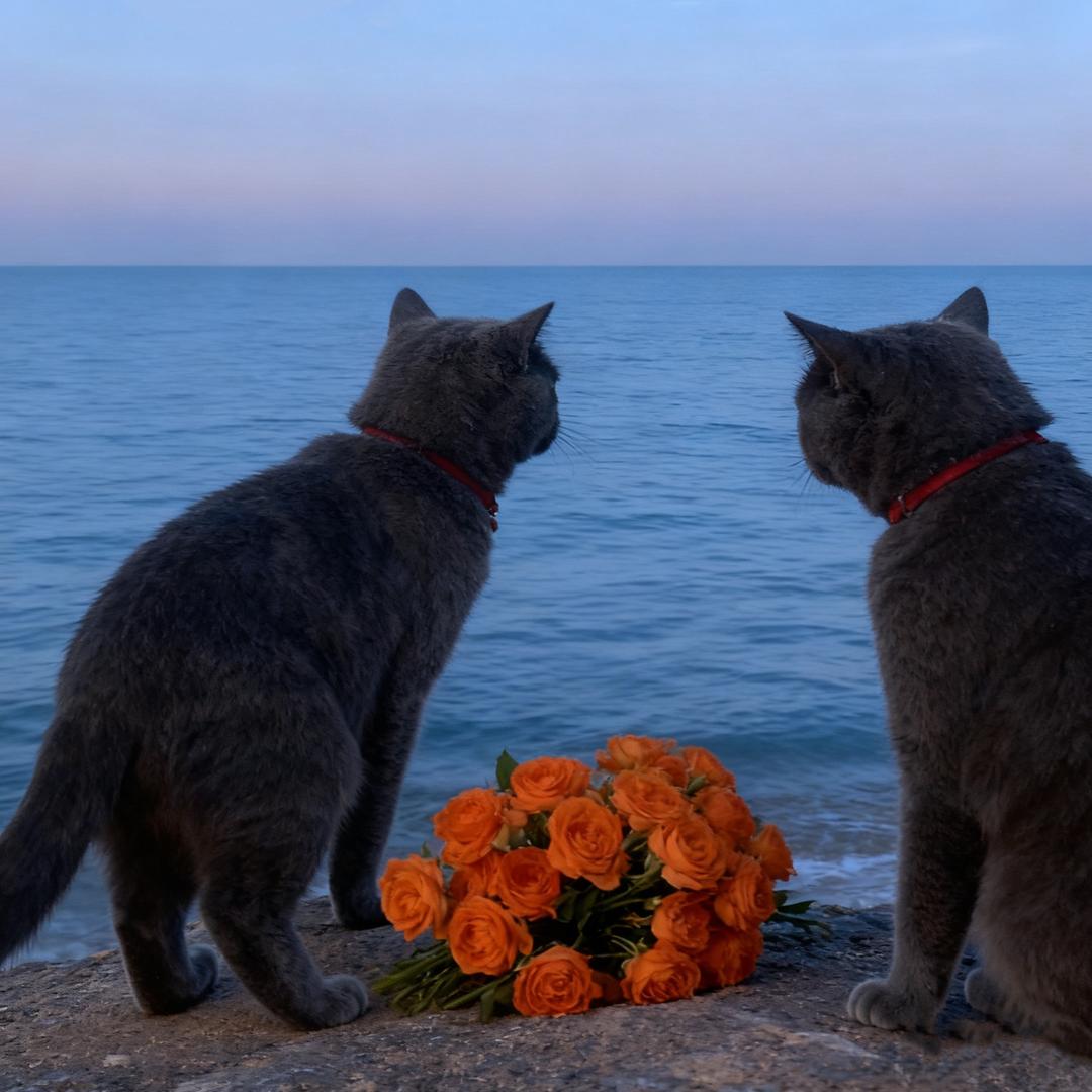 六六三三喵界打工姐妹花