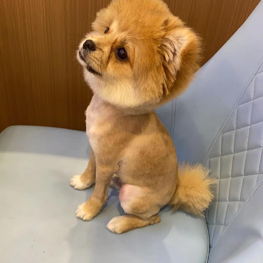 元宝ༀ嫲嫲