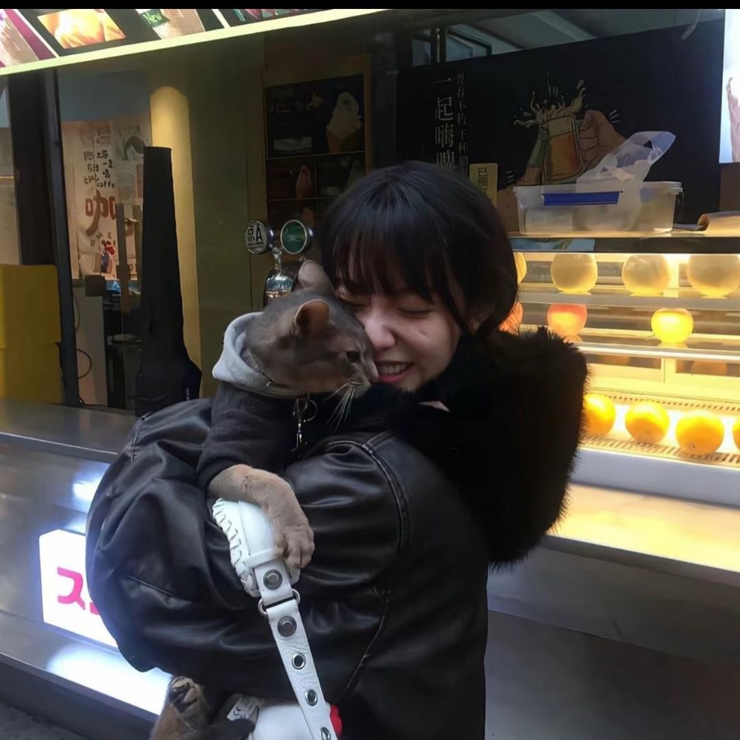 就算天塌下来也不能影响我睡觉