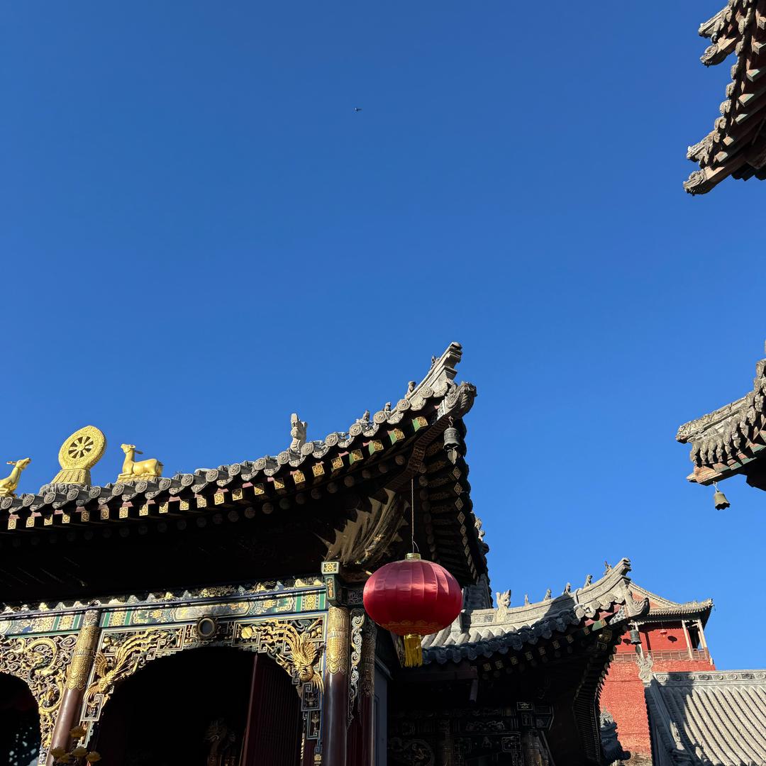 王者归来-