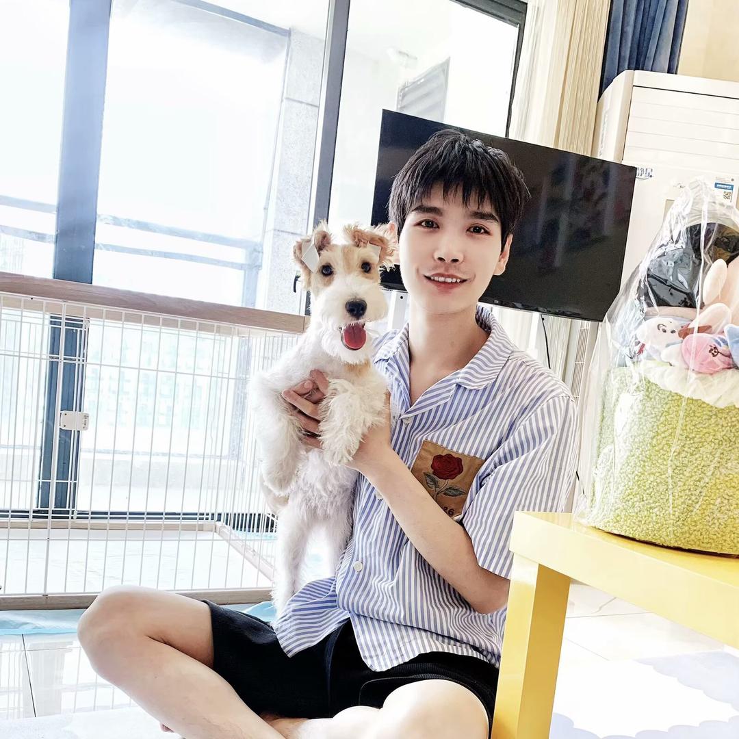 宠物美容师黑猫