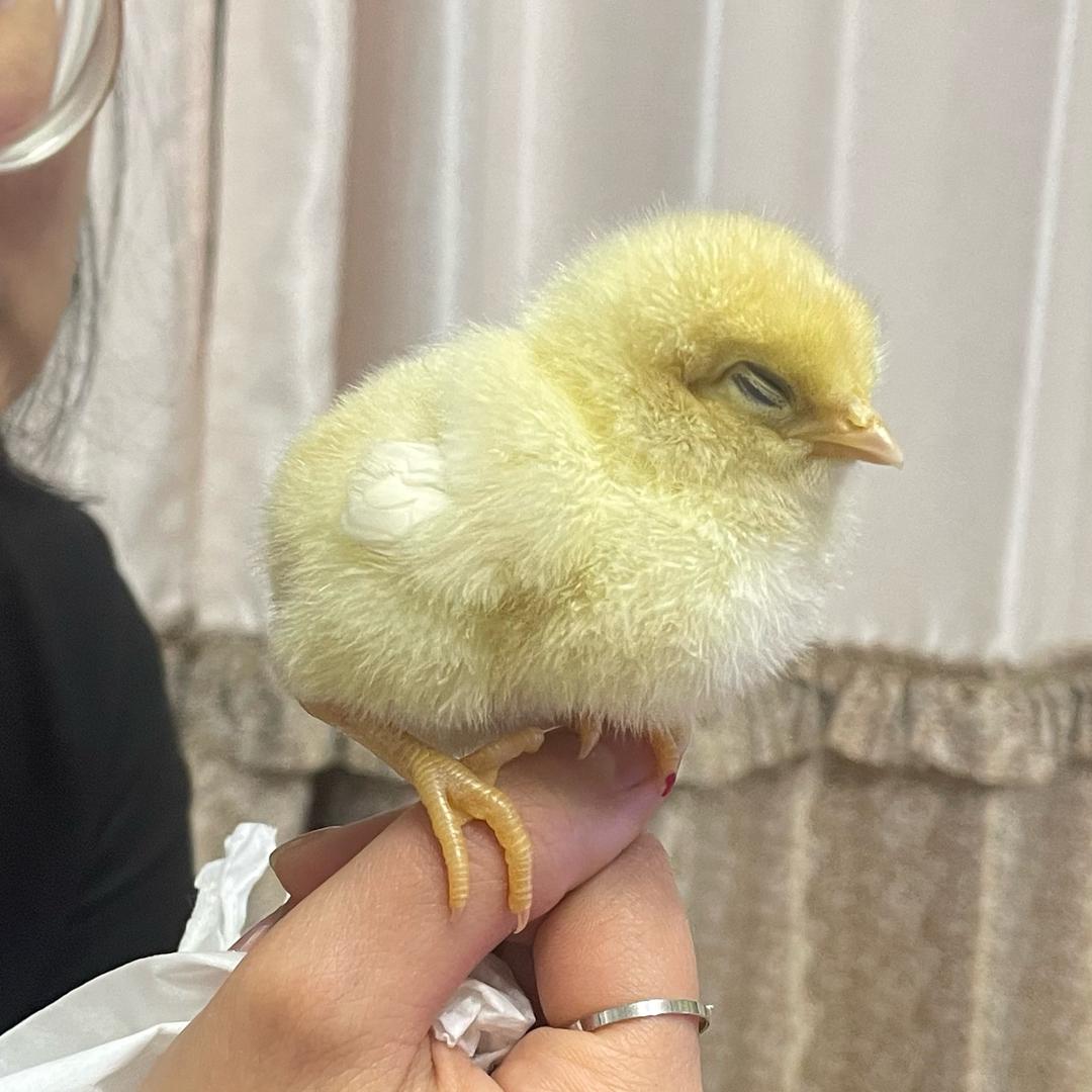 一`团`和气
