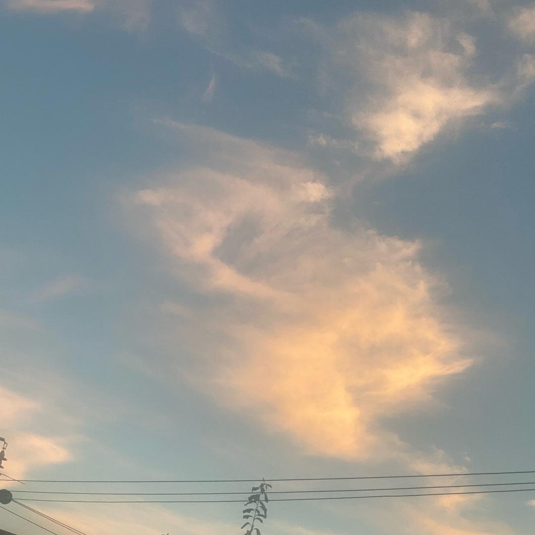 倽