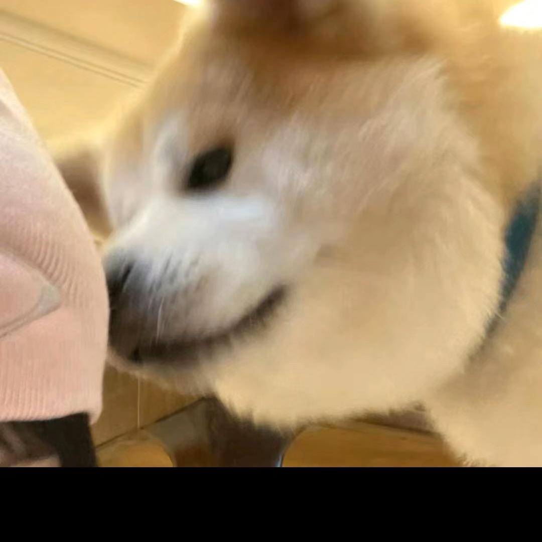 🌈追梦～赤子心