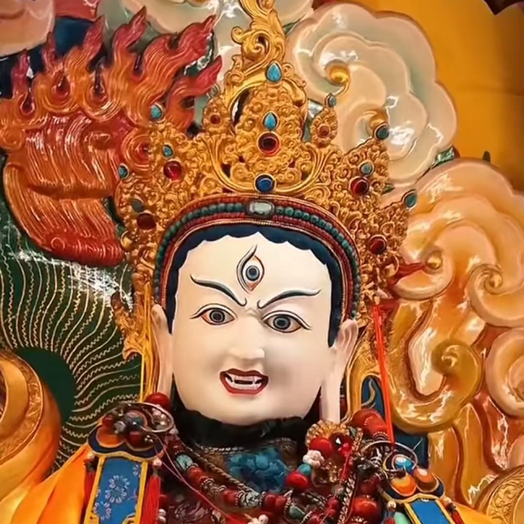 🌴索朗扎西🐇