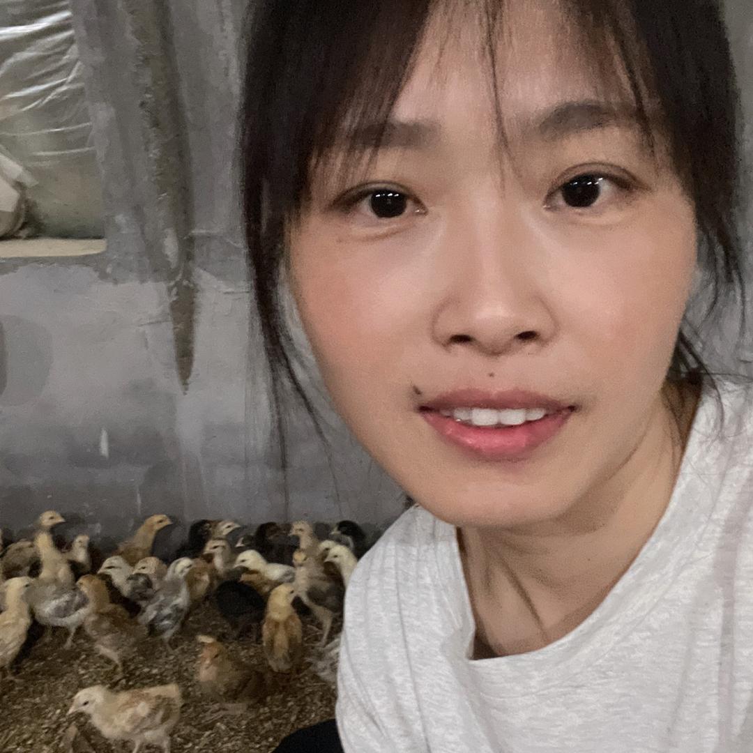 小小养鸡场