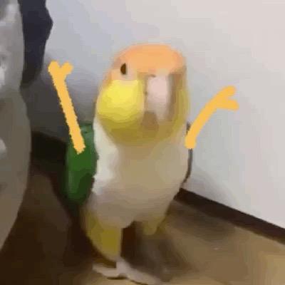 1toot2