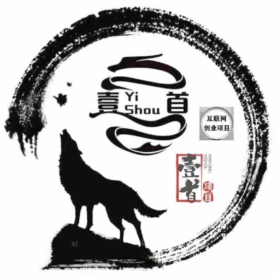 随意拍视频
