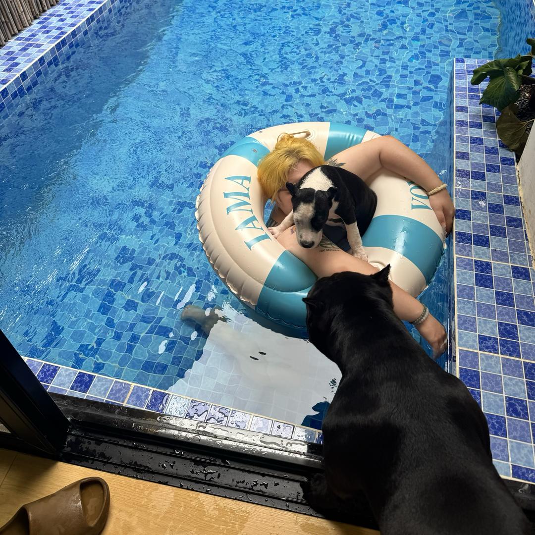 美国佬kitty姐Lebron弟