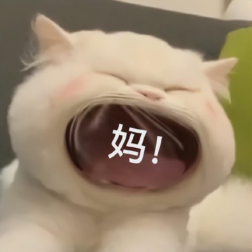 鱼文州