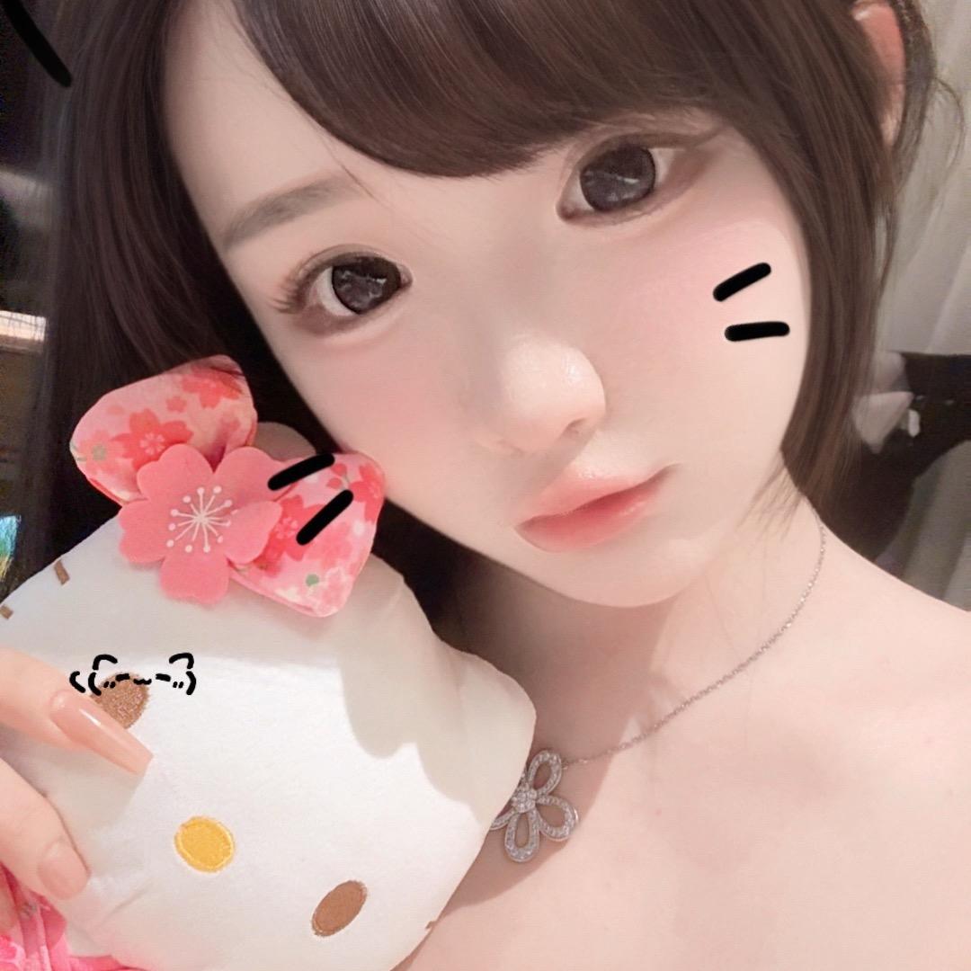 加州流浪小猫
