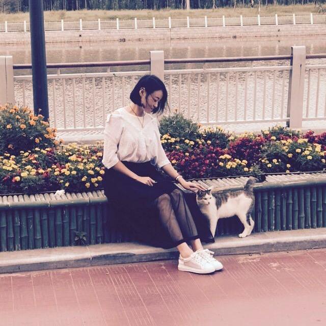 苏减减♎