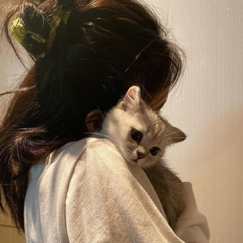 Kuma_yy
