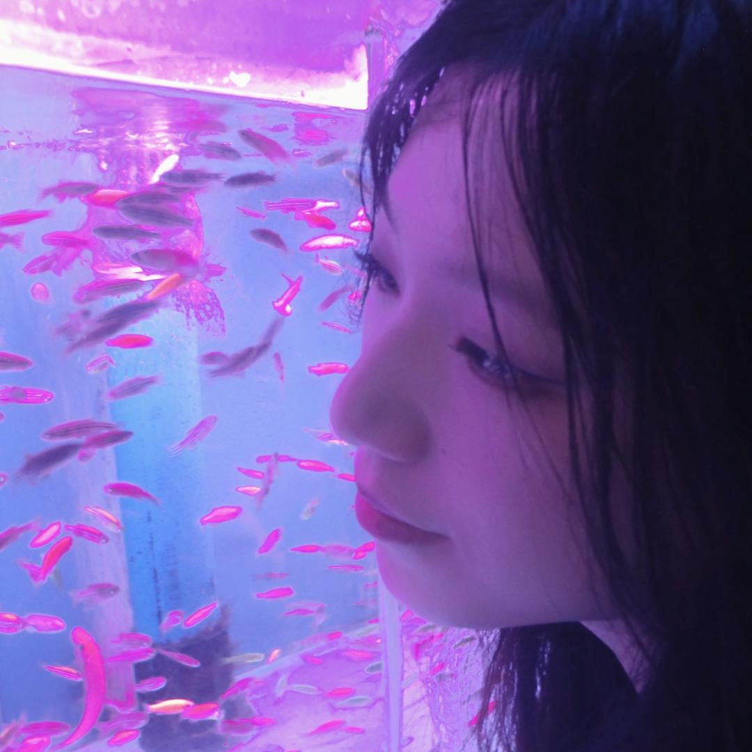 𝘽𝙖𝙤ᴗ𝙤（被李灿饭撒版）