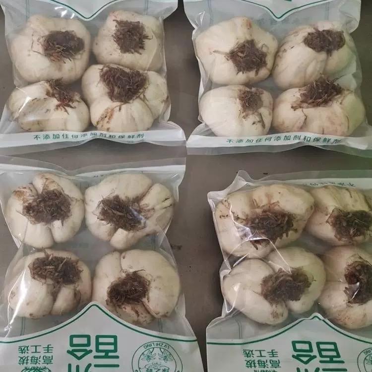 兰州禄翔飞甜百合