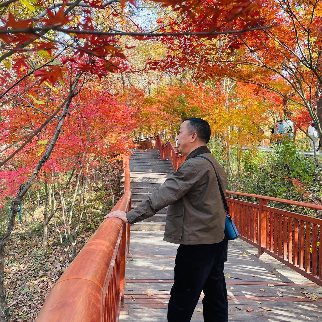 聂廷华
