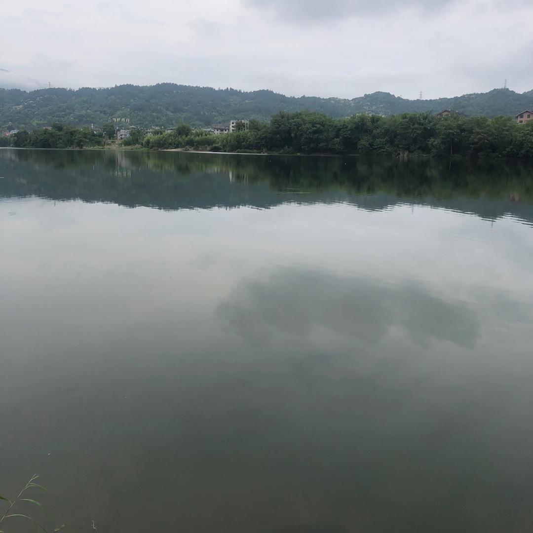 用户158553425561