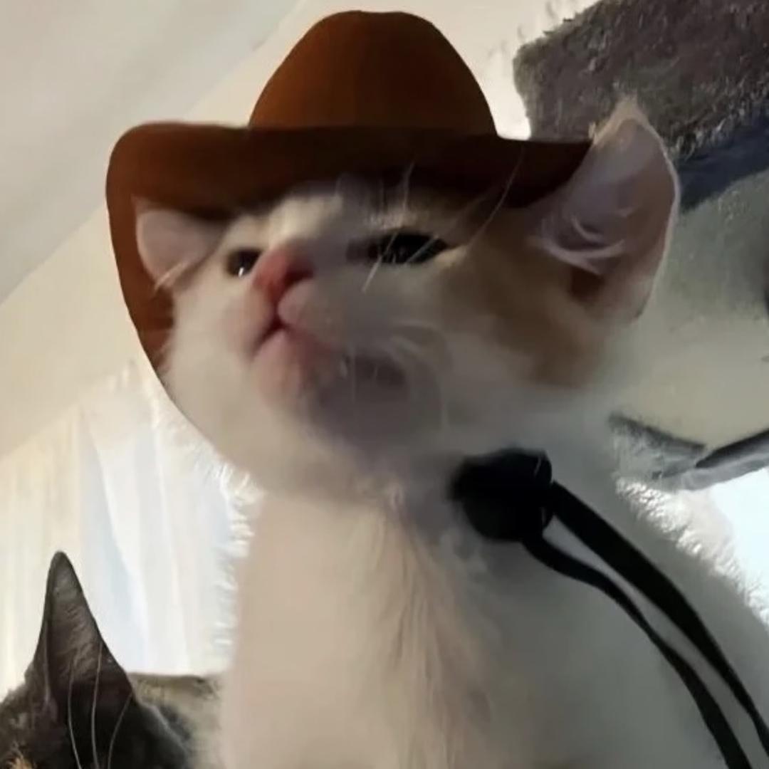 小妍.