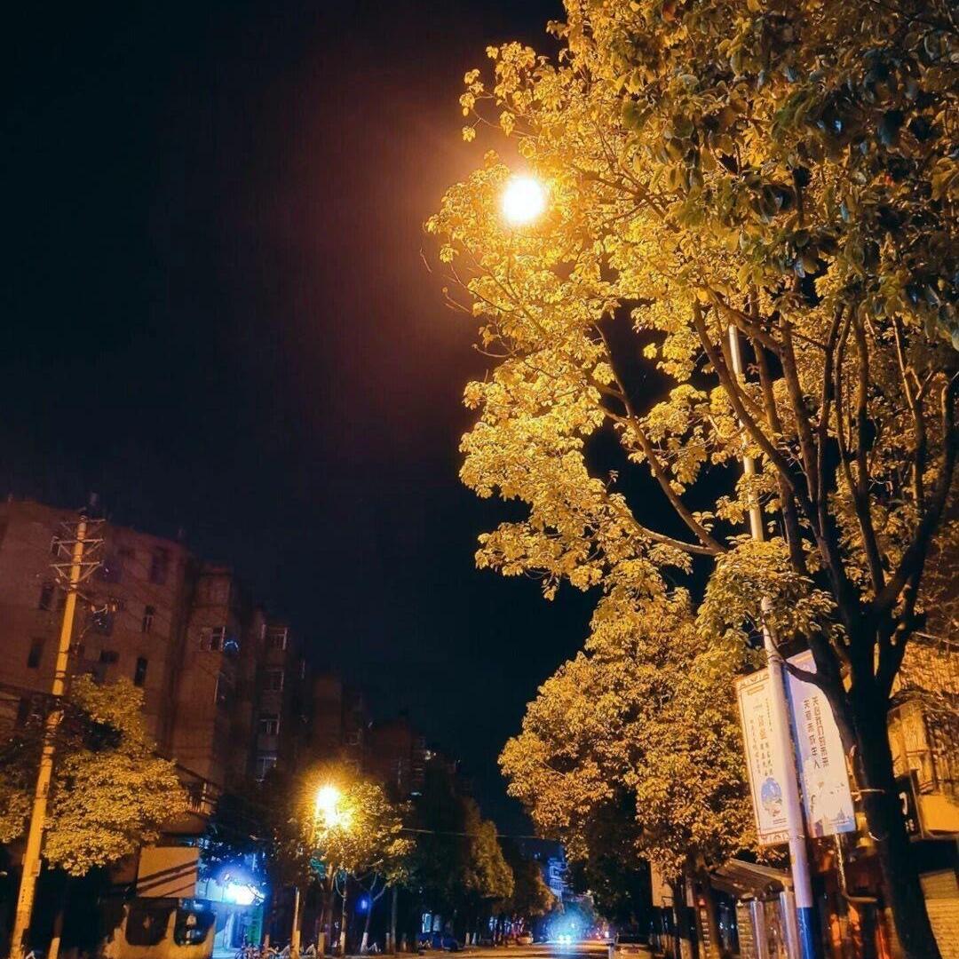 95109222731
