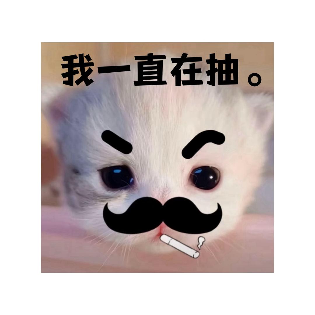 碇真嗣