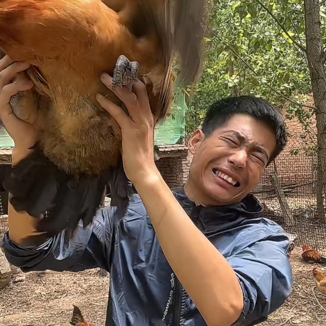 德州鸡哥食品店