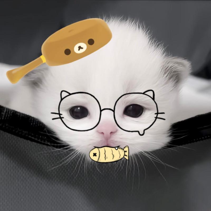 Yu崽