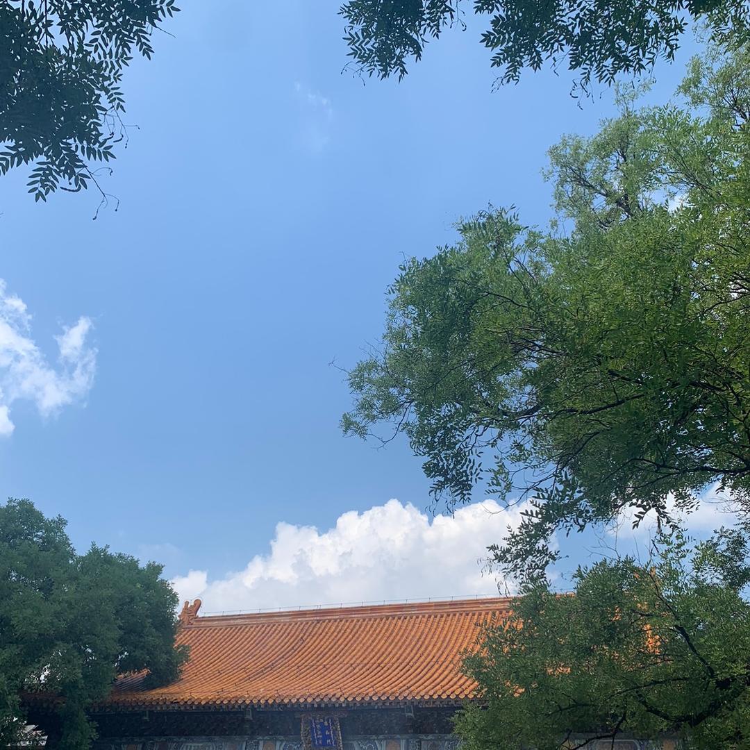 时迁.🧘🏻‍♀️