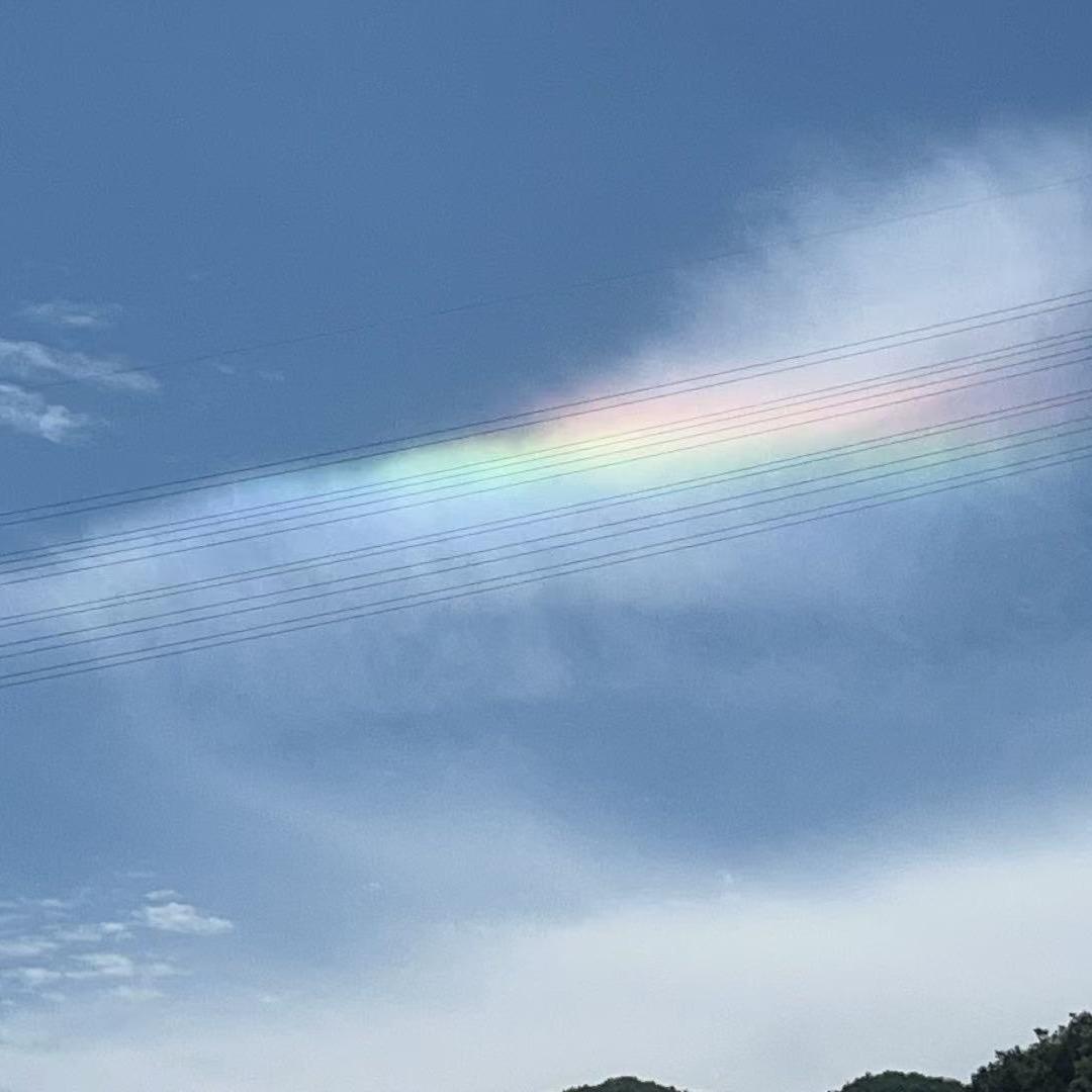 巴巴布鲁
