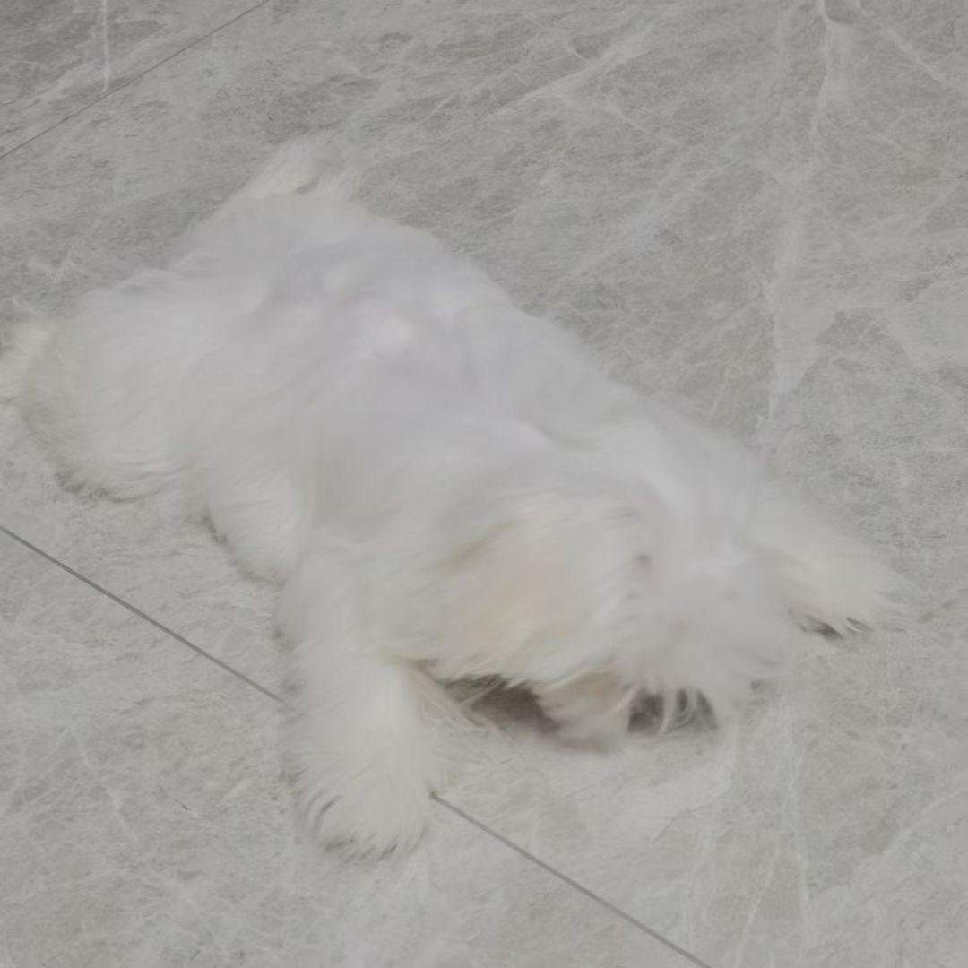 拱墅看电影