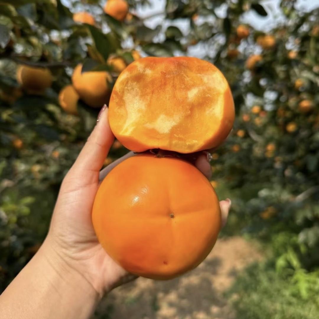 兴逸生鲜