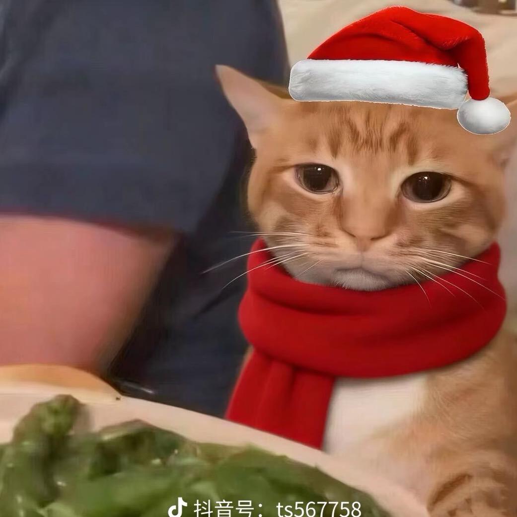 无敌洋柿子