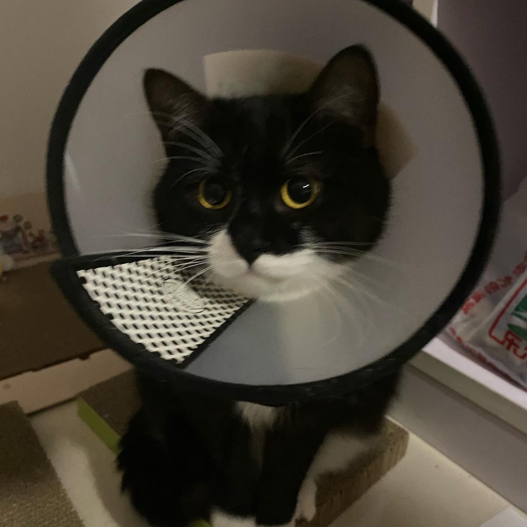 给我一百二十万