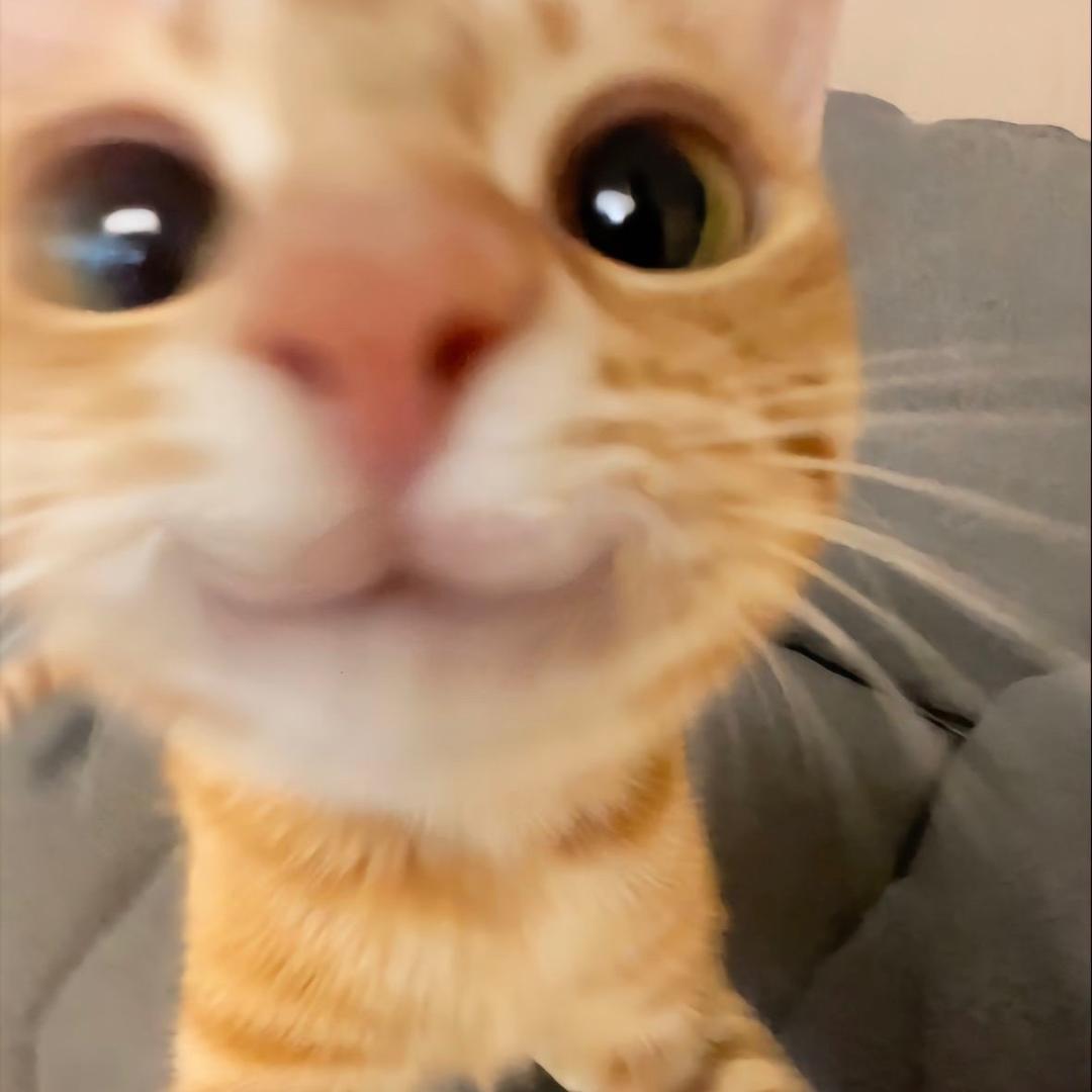 小满