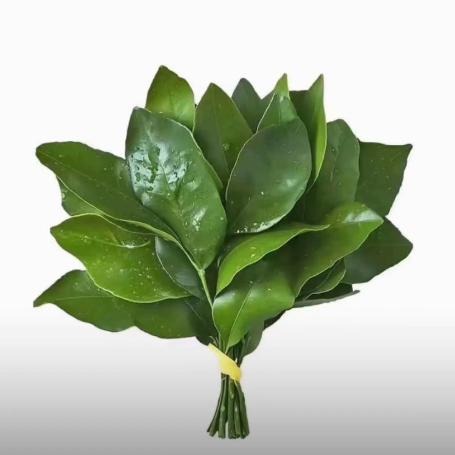 菁