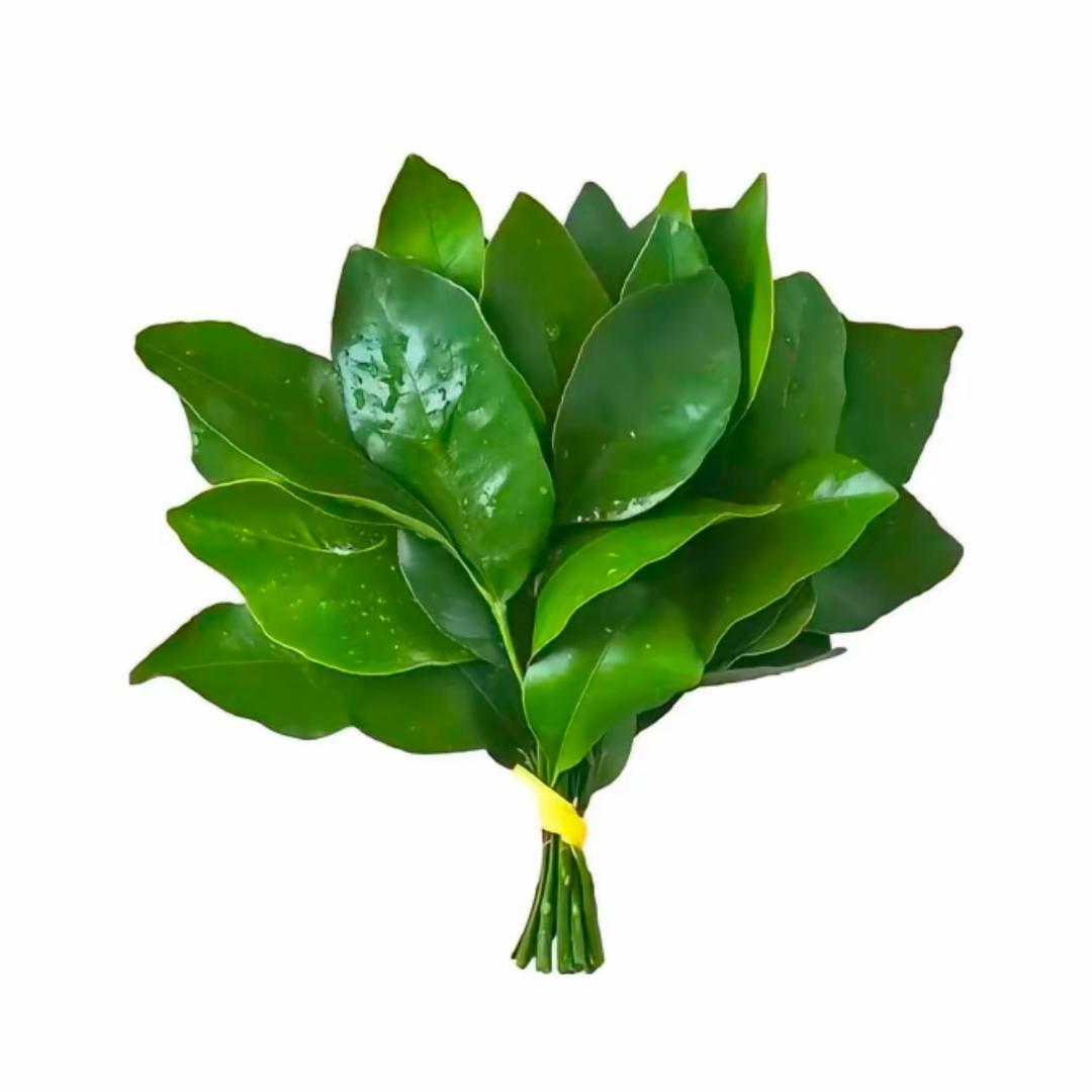 赴山海