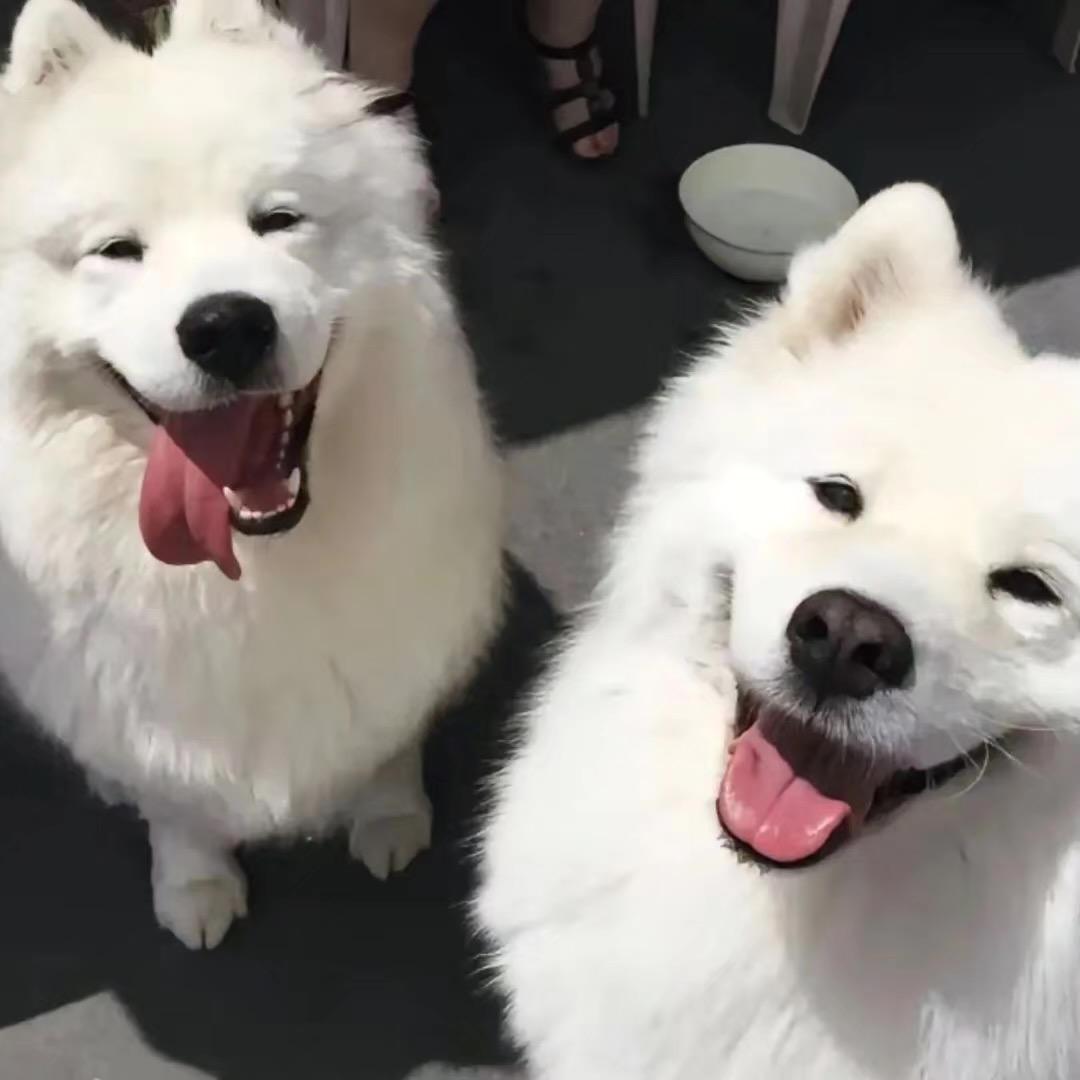 静静想静静