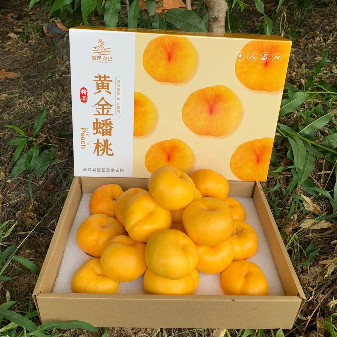 黄河滩《蟠桃缘》