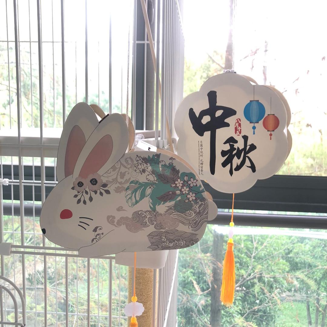 日常生活版