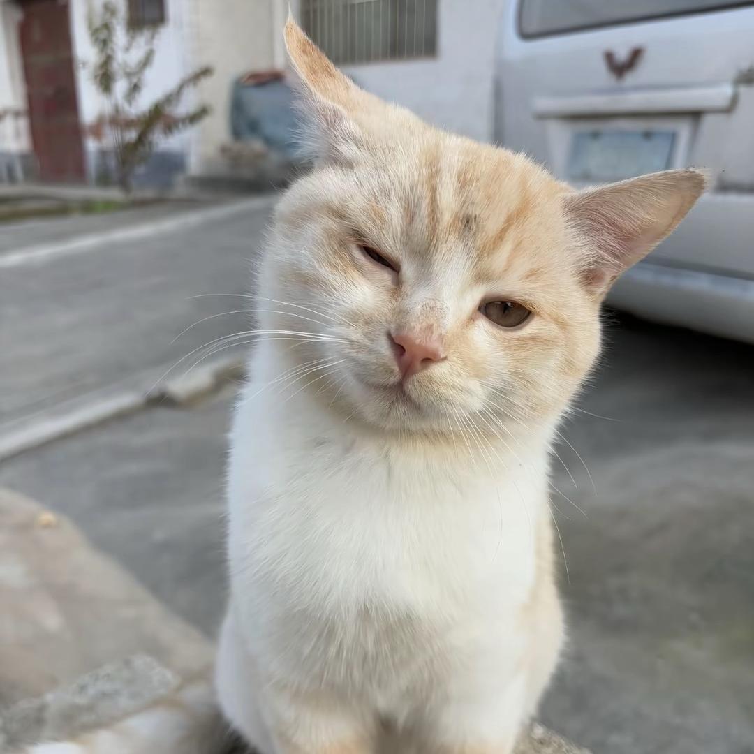 我睡觉的时候不困