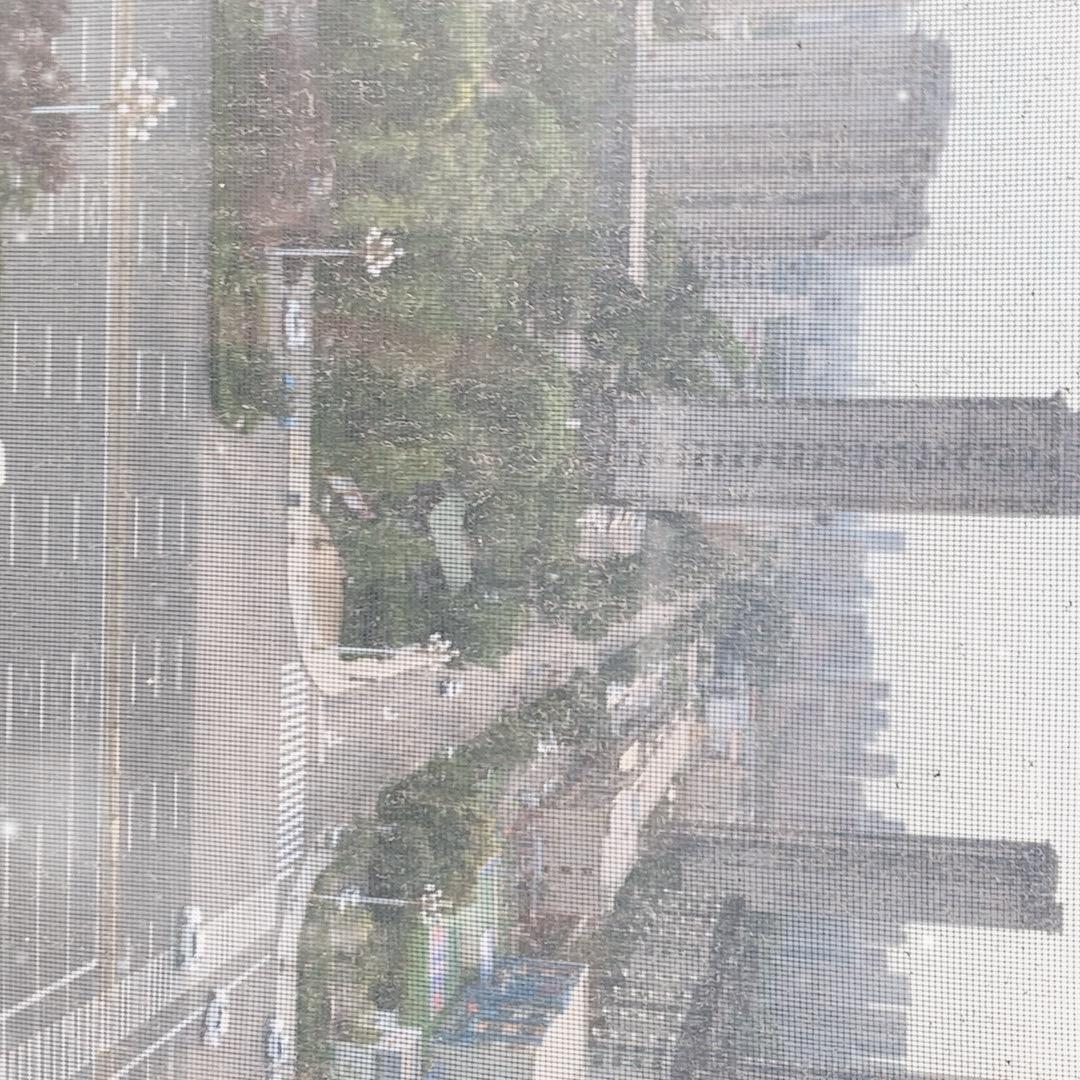 赚够一千万