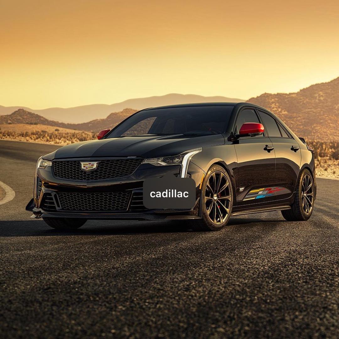 不洗澡的小凯迪